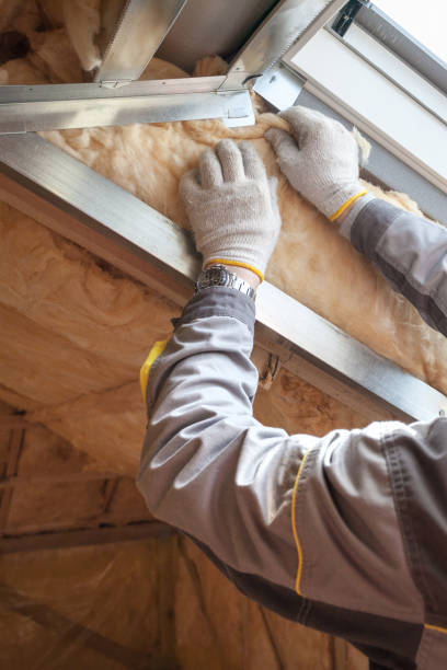 Best Residential Insulation in Coppell, TX